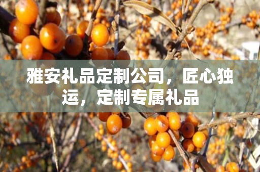 雅安礼品定制公司，匠心独运，定制专属礼品